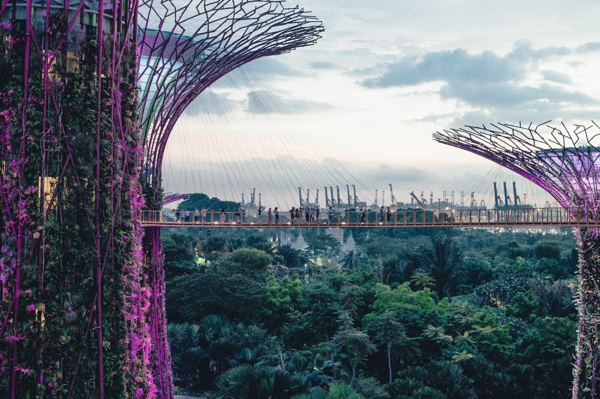 Jardines de la Bahía, un oasis verde en Singapur